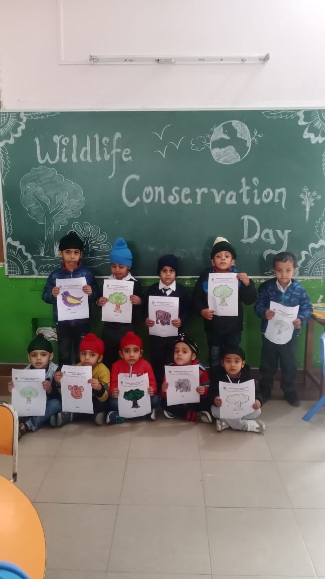 480686251 2990141004478380 2975333226598141977 n